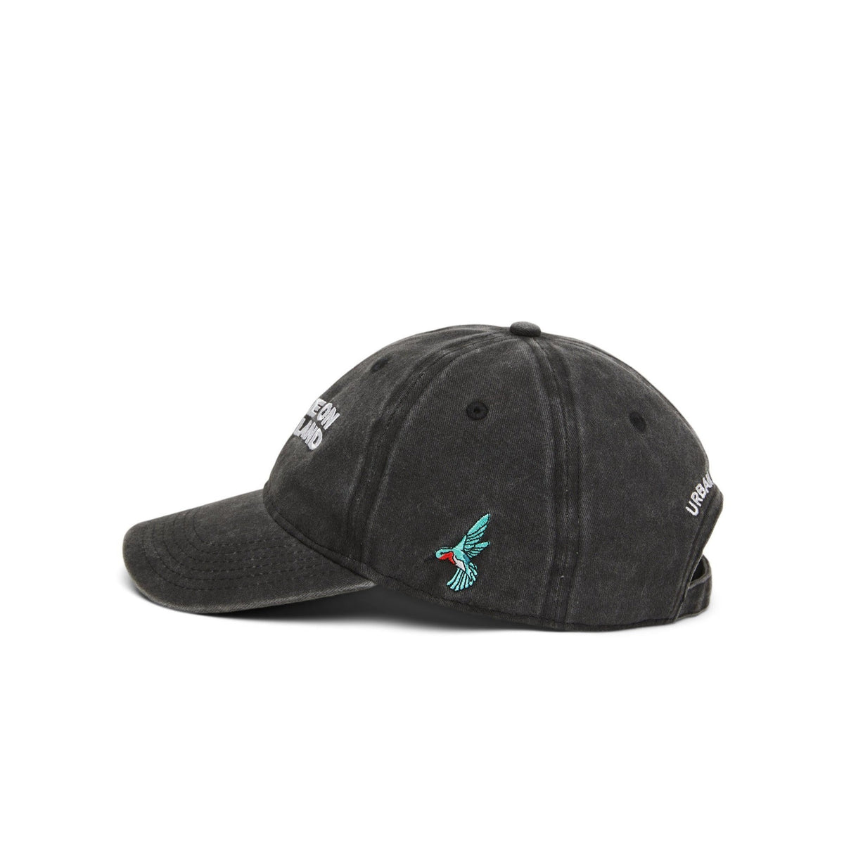 'YOU ARE ON NATIVE LAND' ORGANIC CAP